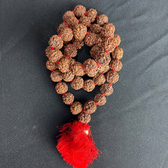 1/2 Rudraksha Mala 54 Beads Red Cord XL