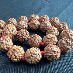 Rudraksha Hand Mala 8mm (27 beads)