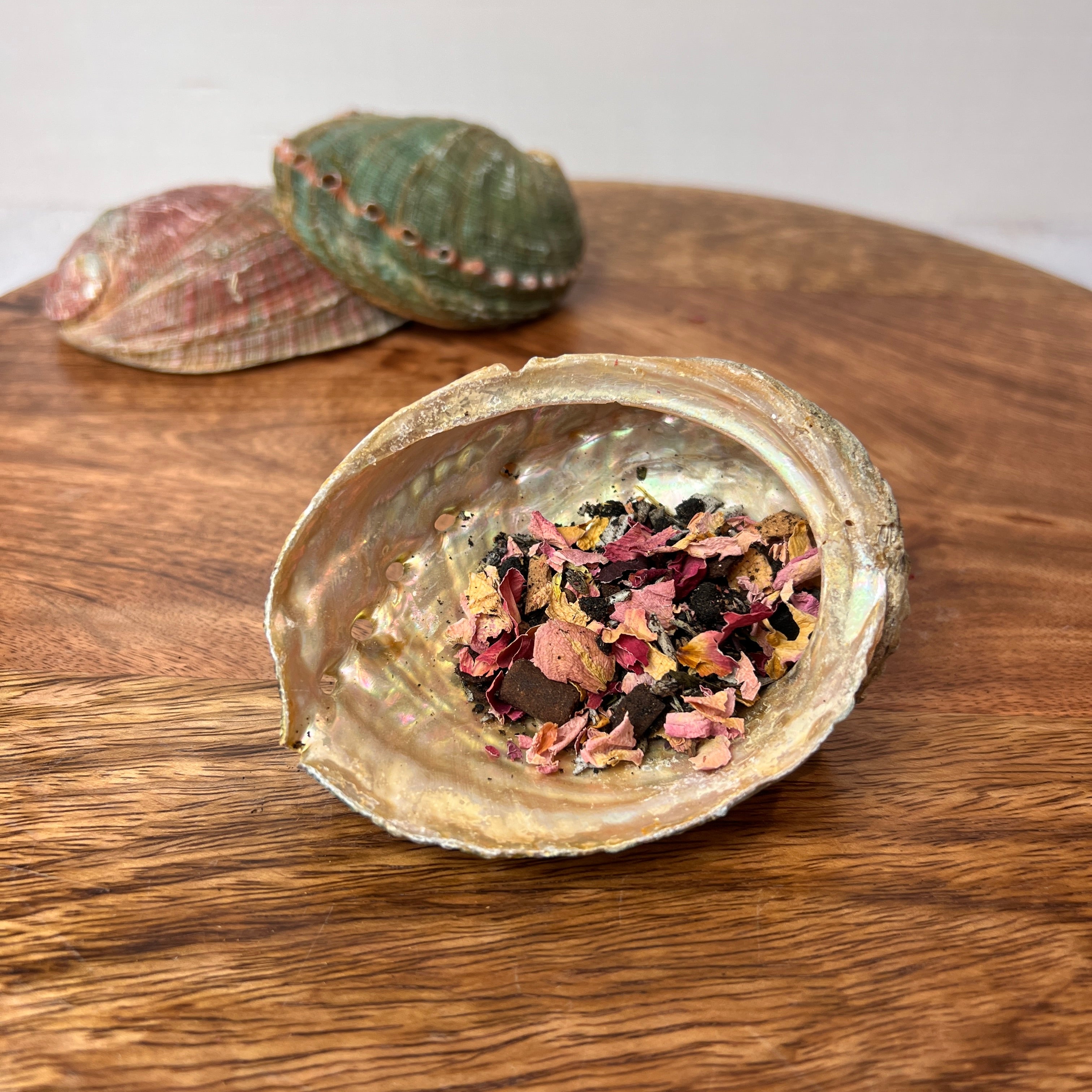 Seashell Incense Burner