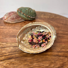 Seashell Incense Burner