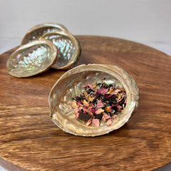 Seashell Incense Burner