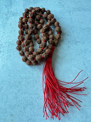 Rudraksha Mala
