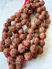 Rudraksha Mala